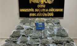 Ordu’da 68.5 Kilo Skunk Ele Geçirildi...