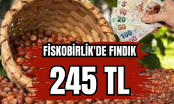 FİSKOBİRLİK ALIM FİYATINI ARTTIRDI
