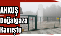 AKKUŞ DOĞALGAZA KAVUŞTU