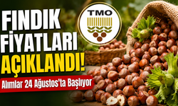FINDIK FİYATI AÇIKLANDI