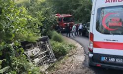 FINDIK İŞÇİLERİNİ TAŞIYAN MİNİBÜS DEVRİLDİ