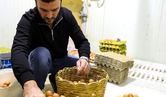 Ordu’da 45 Milyon Adet Yumurta Kapasitesine Ulaşıldı