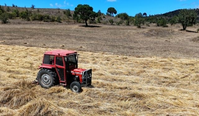 Ordu'da 31.350 Dekar Atıl Arazi Tarıma Kazandırıldı