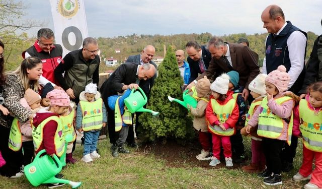 Ordu'daki 20 Alana 4.877 Fidan Dikildi