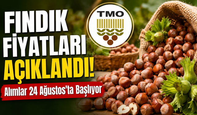 FINDIK FİYATI AÇIKLANDI