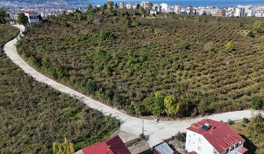 Altınordu Karapınar Mahallesi’nin Sorunu Nihayet Çözüldü