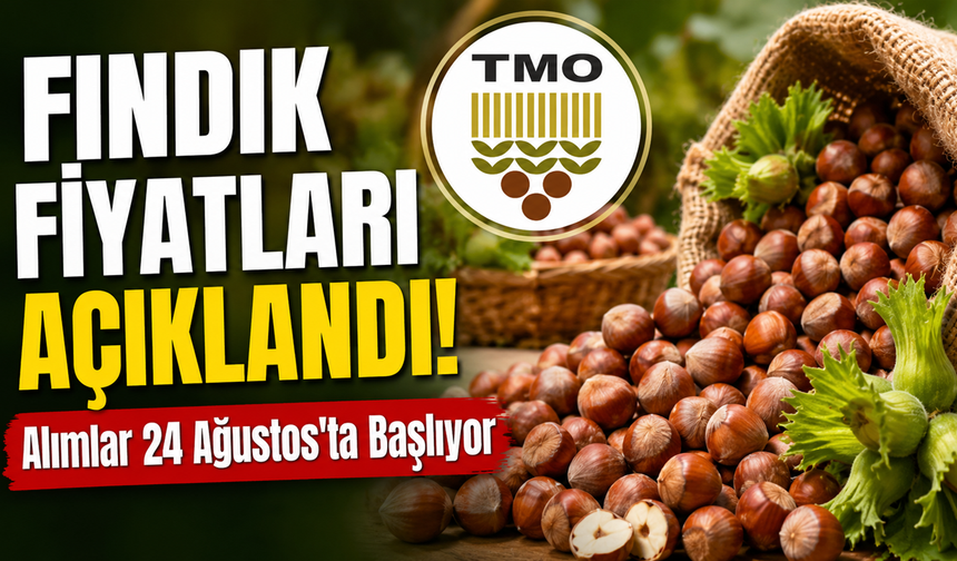 FINDIK FİYATI AÇIKLANDI